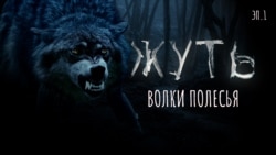 Волки Полесья